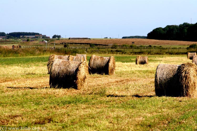 NE Region Craster 072009 049