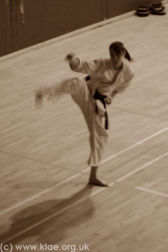 Shin-do Shotokai JSS 2008 130