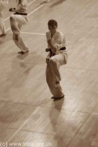 Shin-do Shotokai JSS 2008 132