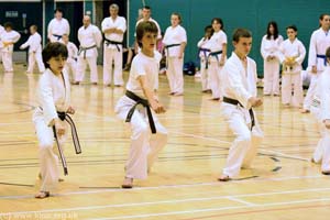 Shin-do Shotokai JSS 2008 065