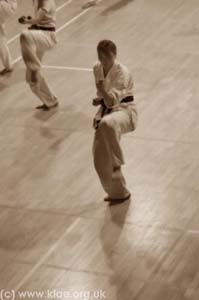 Shin-do Shotokai JSS 2008 132