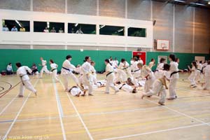 Shin-do Shotokai JSS 2008 240