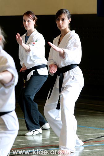 Shin-do Shotokai - Spring School - Exeter 2008 243