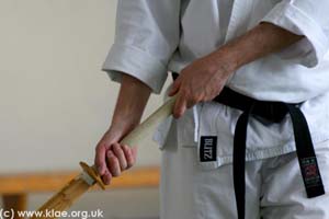 Shin-do Shotokai - Spring School - Exeter 2008 084