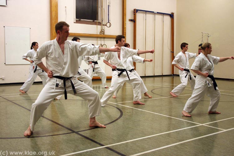 Shin-do Shotokai - Spring School - Exeter 2009 211