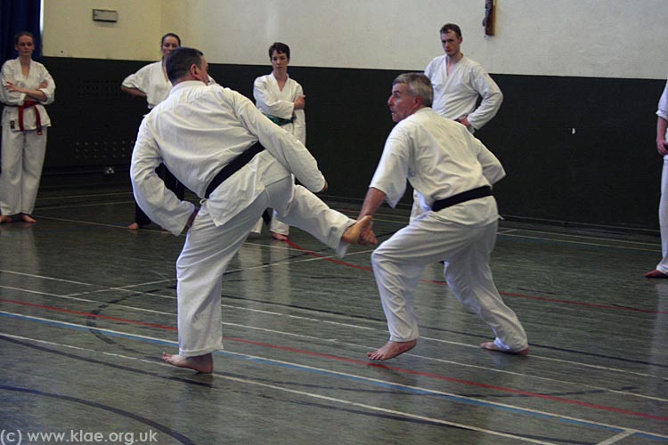 Shin-do Shotokai - Spring School - Exeter 2009 276