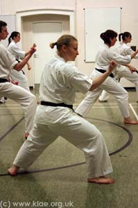 Shin-do Shotokai - Spring School - Exeter 2009 214