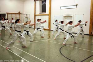 Shin-do Shotokai - Spring School - Exeter 2009 218