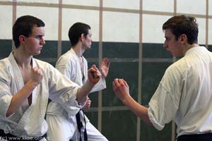 Shin-do Shotokai - Spring School - Exeter 2009 263